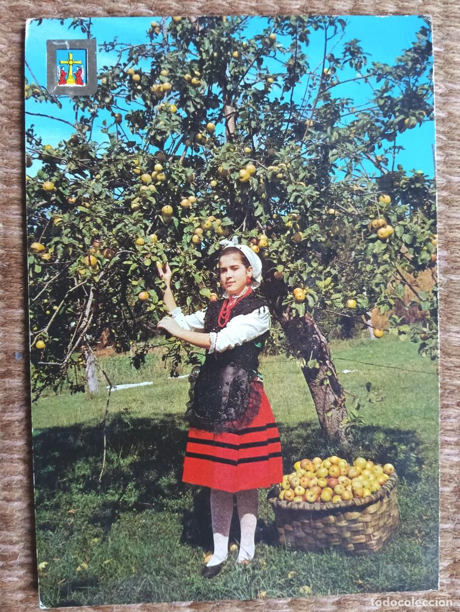 Postales: ASTURIAS - RECOGIDA DE LA MANZANA - ED. DOMINGUEZ