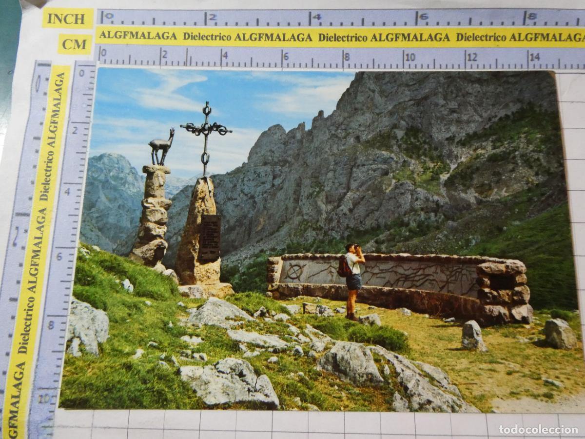 Postales: POSTAL DE ASTURIAS. A&Ntilde;O 1969. PICOS DE EUROPA MIRADOR DE EL TOMBO 20 PRADO. 2889