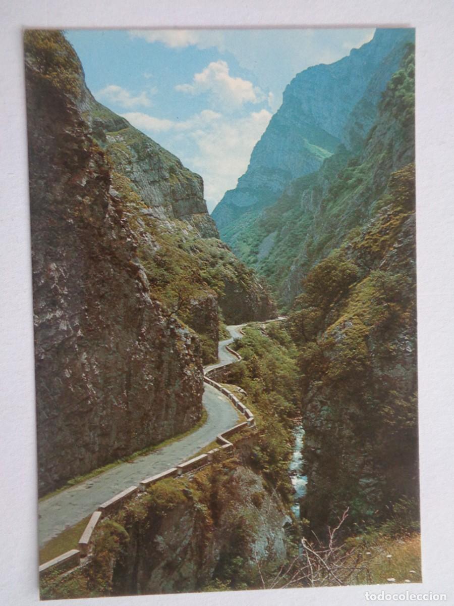 Postales: POSTAL DE LOS PICOS DE EUROPA : DESFILADERO DE LOS BEYOS