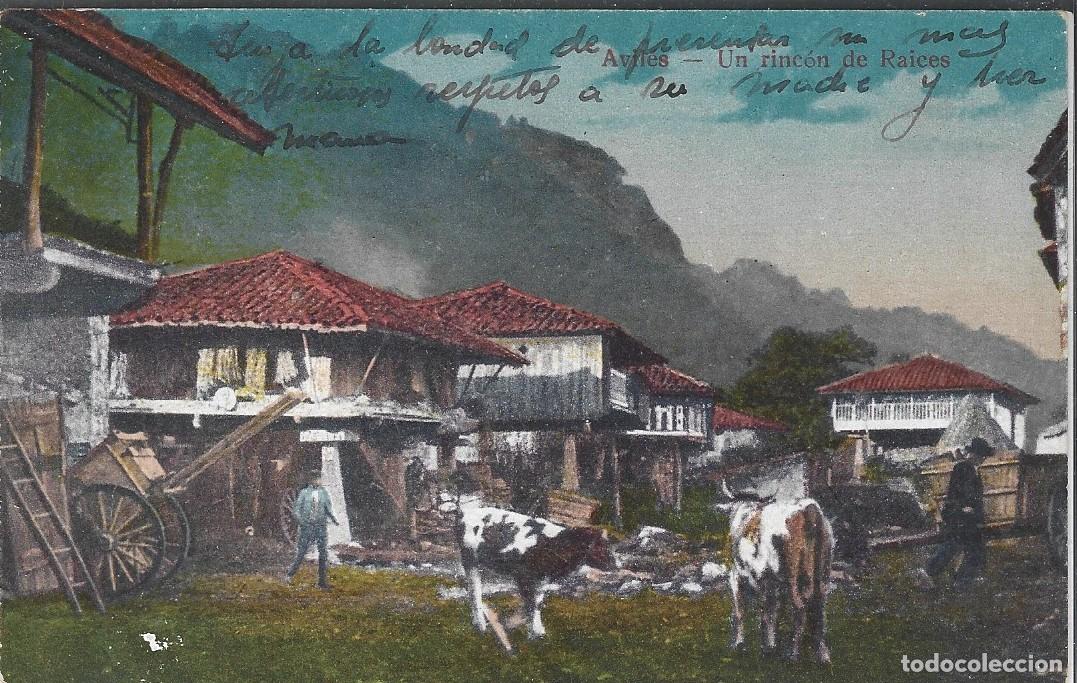 Postales: AVILES (ASTURIAS) - UN RINCON DE RAICES - SIN EDITOR
