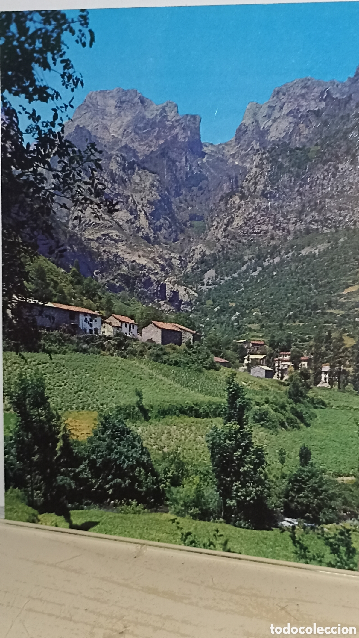 Postales: Ca&iacute;n Le&oacute;n Lavalle con picos de Europa al fondo
