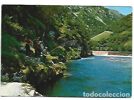 Postales: PESCA DEL SALMON - RIO CARES.- NISERIAS / ASTURIAS