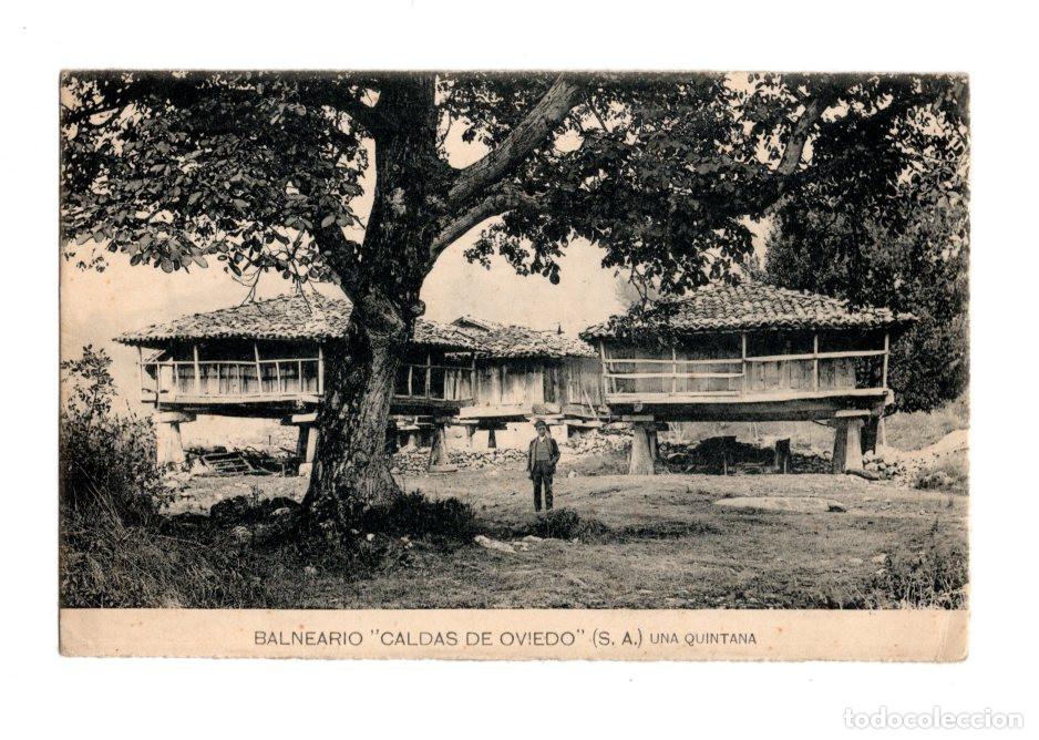 Postales: BALNEARIO. CALDAS DE OVIEDO (S. A.). UNA QUINTANA.