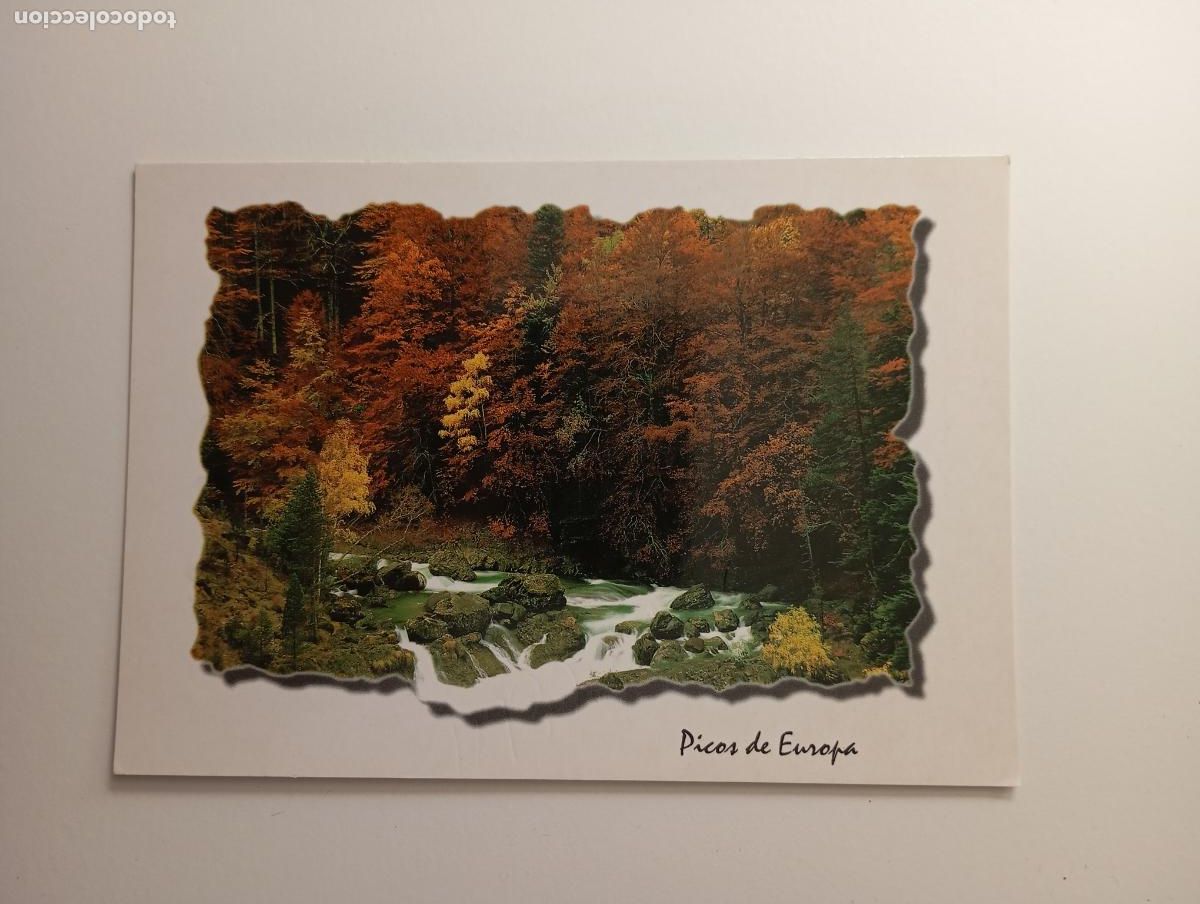 Postcards: POSTAL DE PICOS DE EUROPA. TDKP30J
