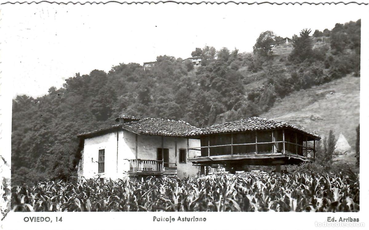 Postales: POSTAL, OVIEDO, PAISAJE ASTURIANO, ED. ARRIBAS 14, ESCRITA