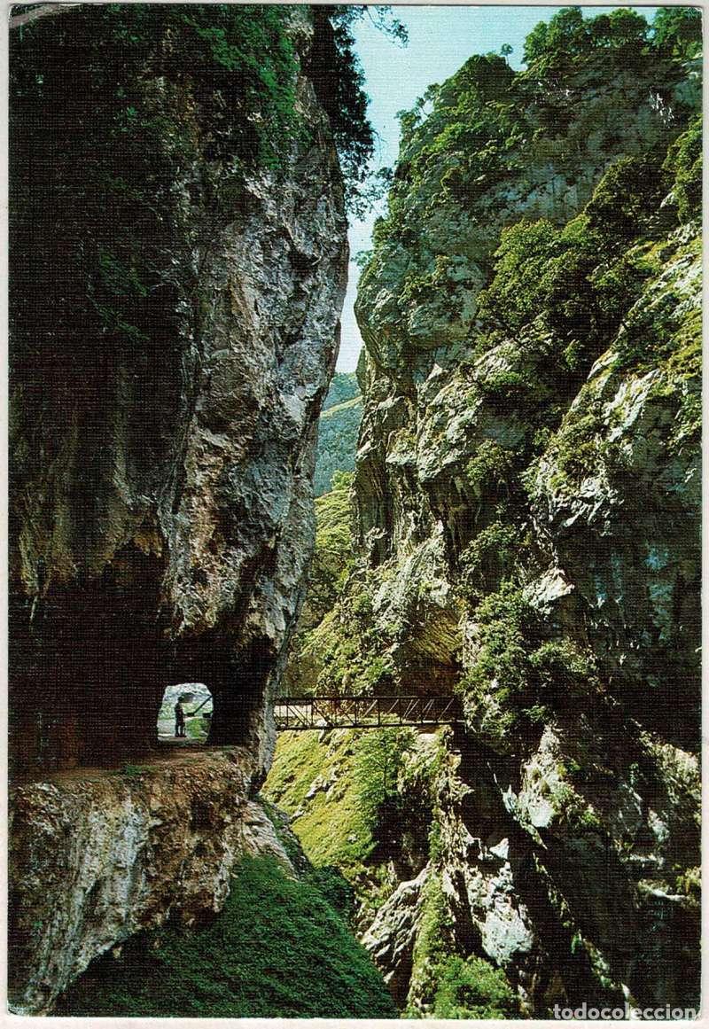 Postales: Postal Asturias. Picos de Europa. Desfiladero del Rio Cares. Puente de los Rebecos N&ordm; 31
