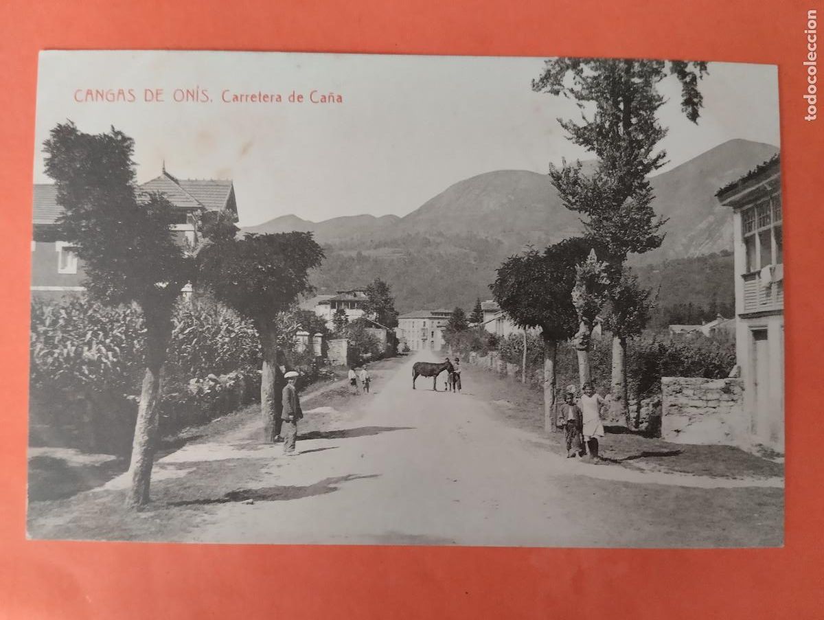 Postales: CANGAS DE ONIS (ASTURIAS). CARRETERA DE CA&Ntilde;A.