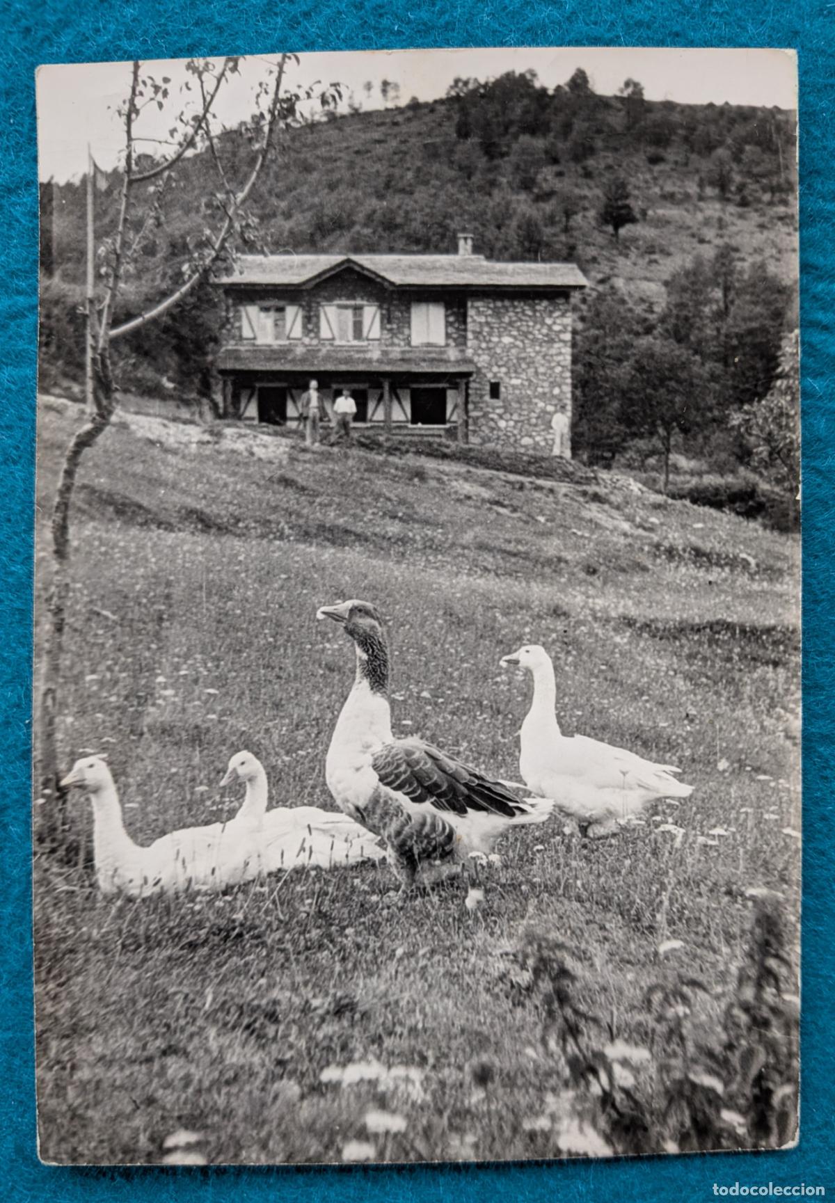 Postales: RW POSTAL NAVA ASTURIAS P2035