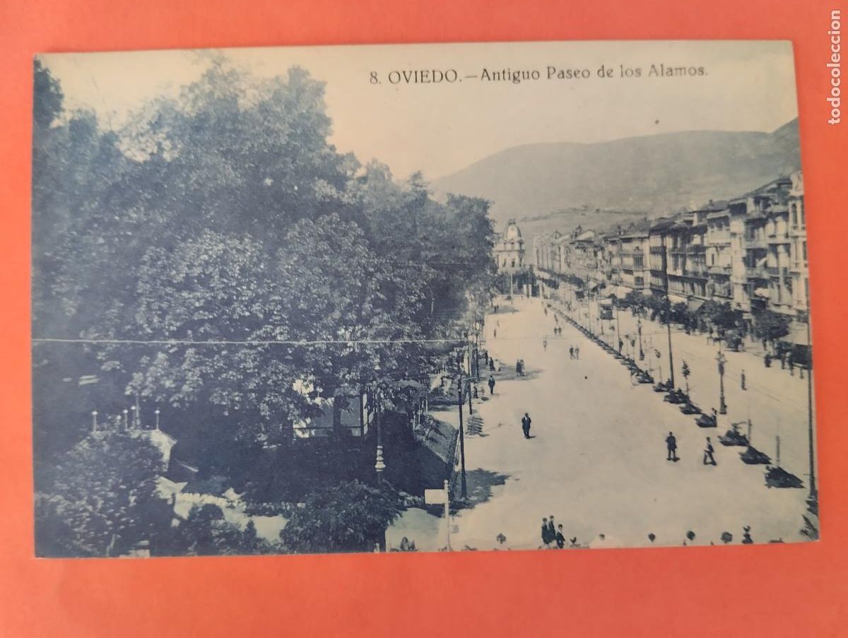 Postales: OVIEDO. ANTIGUO PASEO DE LOS ALAMOS. ED. CADRECHA.