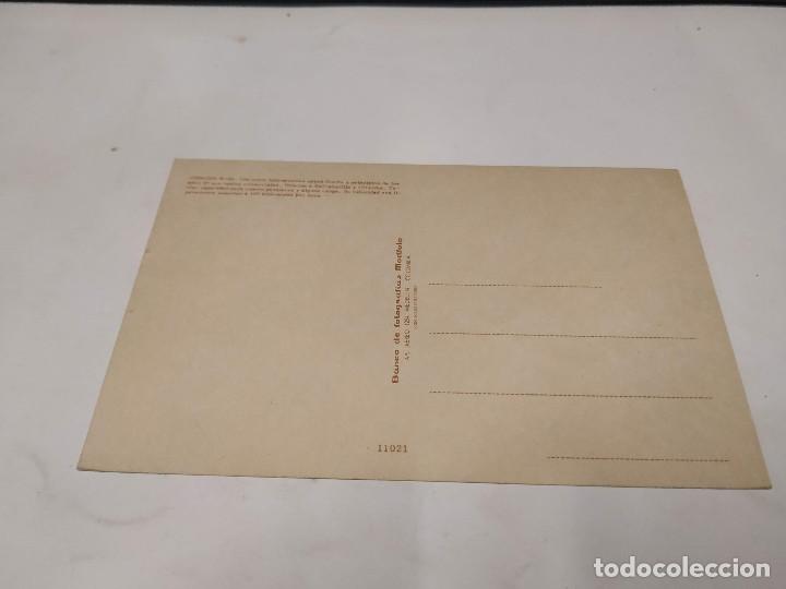 Postales: POSTAL JUNKERS W-33 - - Foto 2