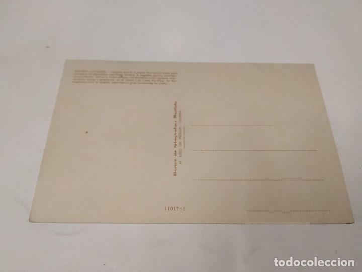 Postales: POSTAL ANFIBIO CATALINA - Foto 2