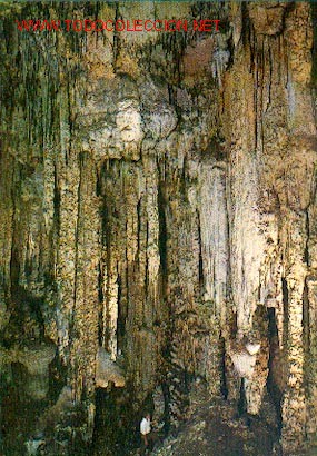Postales: CUEVA DE ARTA - Sal&oacute;n de columnas - Foto 1