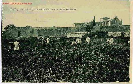 Postales: RANDA ,  MALLORCA - Foto 1