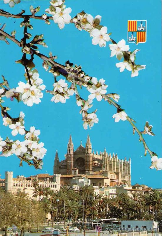 Postales: Palma de Mallorca, La Catedral - Foto 1