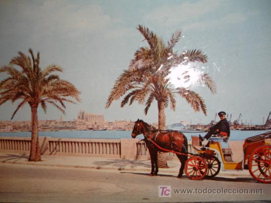 Postales: MALLORCA,PALMA - Foto 1