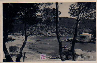 Postales: MALLORCA. CAMP DE MAR. (TRUYOL) - Foto 1