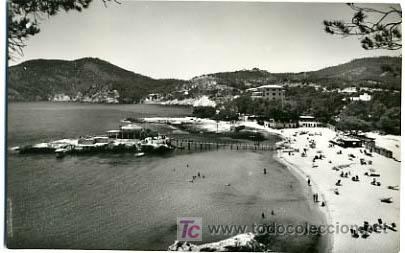 Postales: MALLORCA,  CAMP DE MAR,                 P14363 - Foto 1