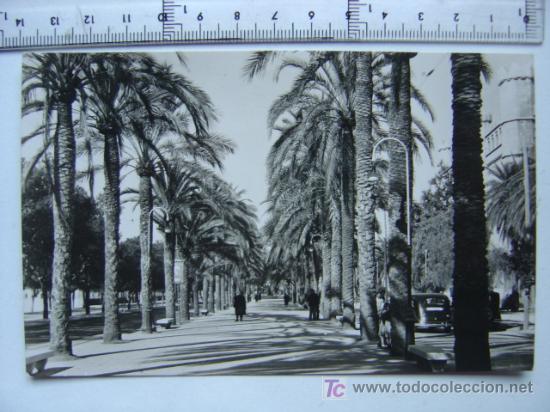 Postales: POSTAL DE PALMA MALLORCA - Foto 1