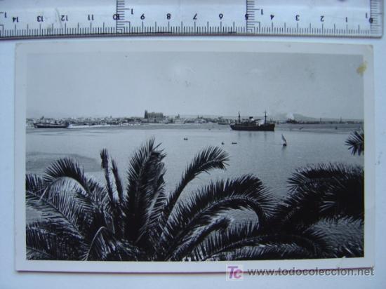 Postales: POSTAL DE PALMA MALLORCA - Foto 1