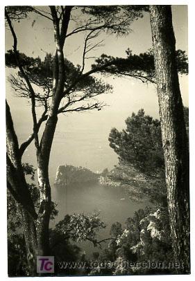 Postales: MALLORCA, MIRAMAR LA FORADADA,                 P16637 - Foto 1