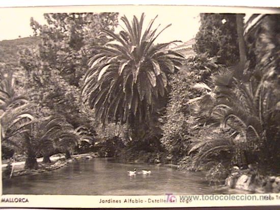 Postales: POSTAL DE MALLORCA DE LOS A&Ntilde;OS 50 - Foto 1