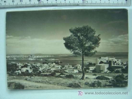 Postales: PALMA MALLORCA - Foto 1