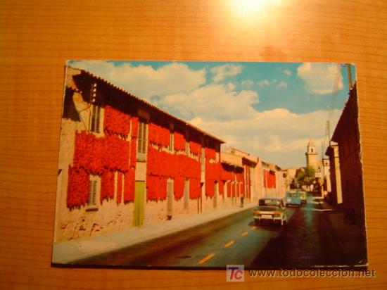 Postales: POSTAL MALLORCA SECADO DE PIMIENTOS CIRCULADA - Foto 1