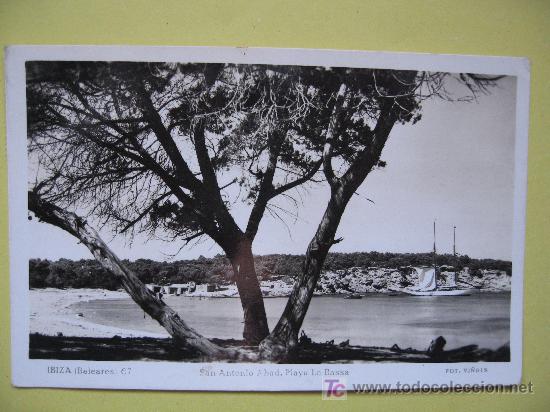 Postales: IBIZA - LA BASSA - Foto 1