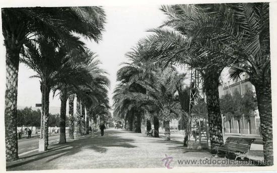 Postales: POSTAL MALLORCA PASEO DE SAGRERA - Foto 1