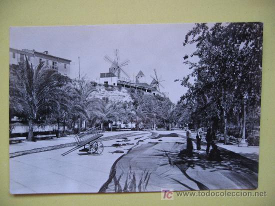 Postales: MALLORCA - MOLINOS - JACK EL NEGRO - SIN CIRCULAR - Foto 1