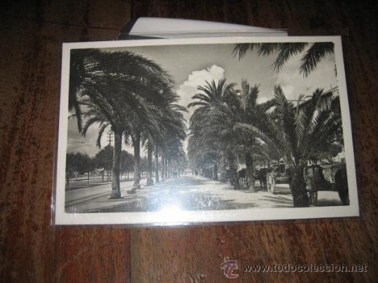 Postales: PALMA DE MALLORCA    PASEO DE SAGRERA - Foto 1