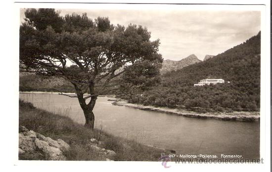 Cartoline: TARJETA POSTAL DE MALLORCA-  N&ordm; 247- POLLENSA. FORMENTOR.