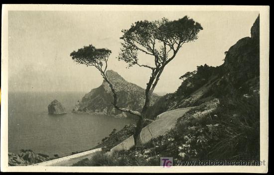 Postales: TARJETA POSTAL  DE POLLENSA, MALLORCA - Foto 1