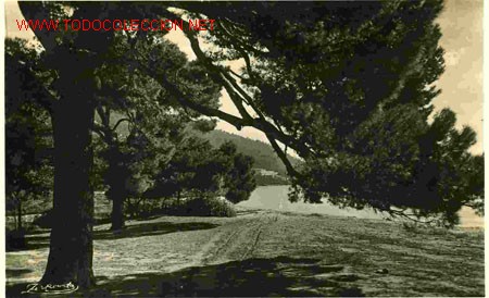 Postales: MALLORCA, POLLENSA, PUERTO - Foto 1