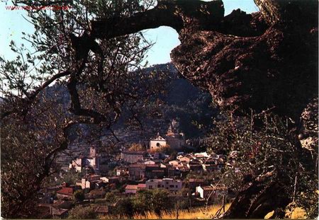 Postales: POME5 07014 VALLDEMOSA (Mallorca) - Foto 1