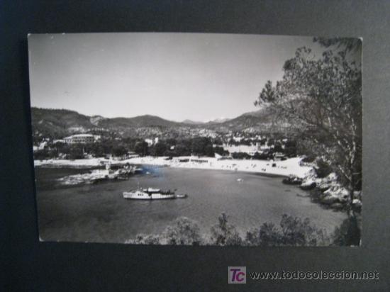 Postales: POSTAL MALLORCA: CAMP DE MAR - Foto 1