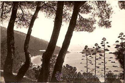 Postales: POSTAL MALLORCA FORMENTOR - Foto 1