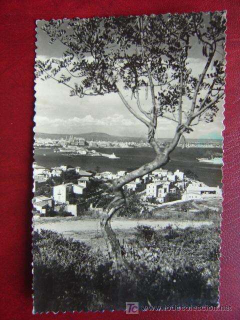 Postales: PALMA MALLORCA - Foto 1