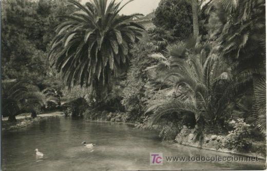 Cartoline: BALEARES . MALLORCA . JARDINES DE ALFABIA . EL LAGO  P633