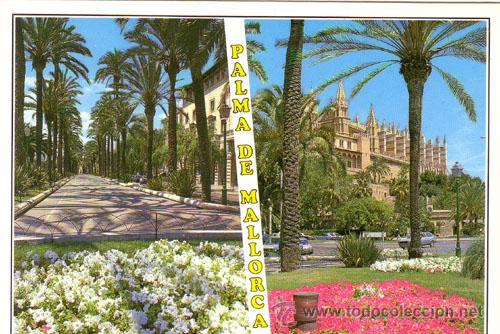 Postales: N&ordm; 9012 POSTAL PALMA DE MALLORCA - Foto 1