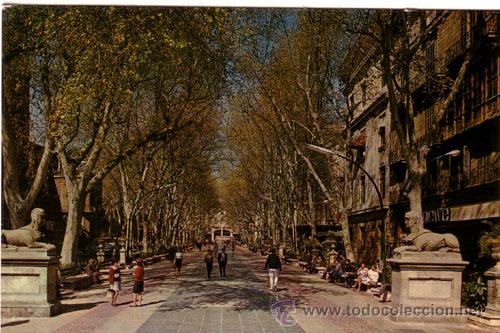 Postales: N&ordm; 17758 POSTAL MALLORCA PALMA - Foto 1