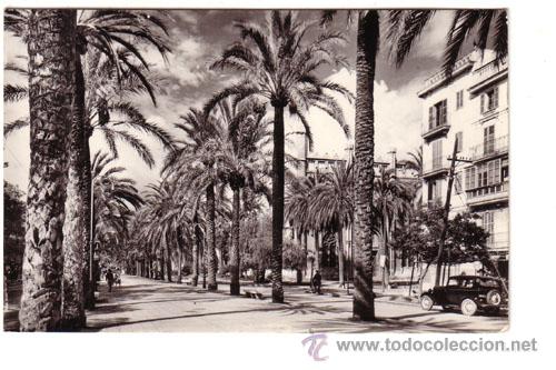 Postkarten: N&ordm; 741 POSTAL MALLORCA PALMA PASEO DE SAGRERA