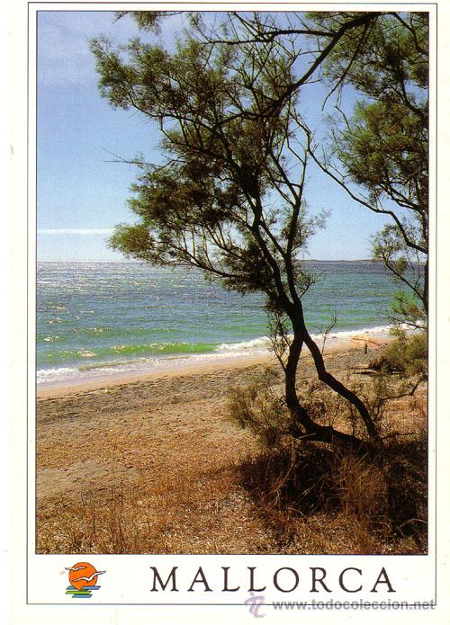 Postales: N&ordm; 9238 POSTAL MALLORCA - Foto 1