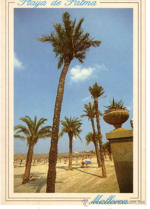 Postales: N&ordm; 9248 POSTAL MALLORCA - Foto 1
