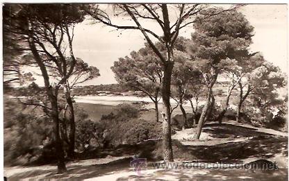 Postales: POSTAL MENORCA PLAYA DE SON SAURA - Foto 1