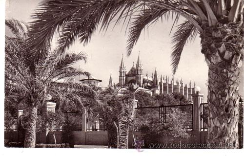 Postales: N&ordm; 5384 POSTAL MALLORCA PALMA - Foto 1