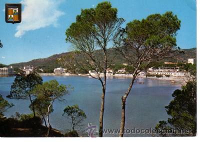 Postales: N&ordm; 5546 POSTAL MALLORCA - Foto 1