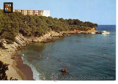 Cartes Postales: N&ordm; 5531 POSTAL COSTA DE LOS PINOS MALLORCA
