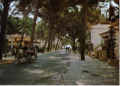 Postales: N&ordm; 5532 POSTAL CALA MILLOR MALLORCA - Foto 1