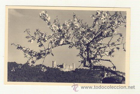 Postales: PALMA EL CASTILLO DE BELLVER ALMENDRO EN FLOR - Foto 1